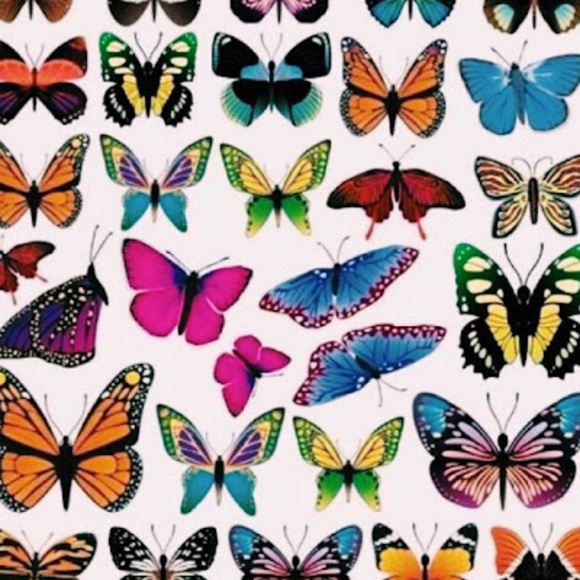 Meet your Posher, Hope - Picture 1 of 1